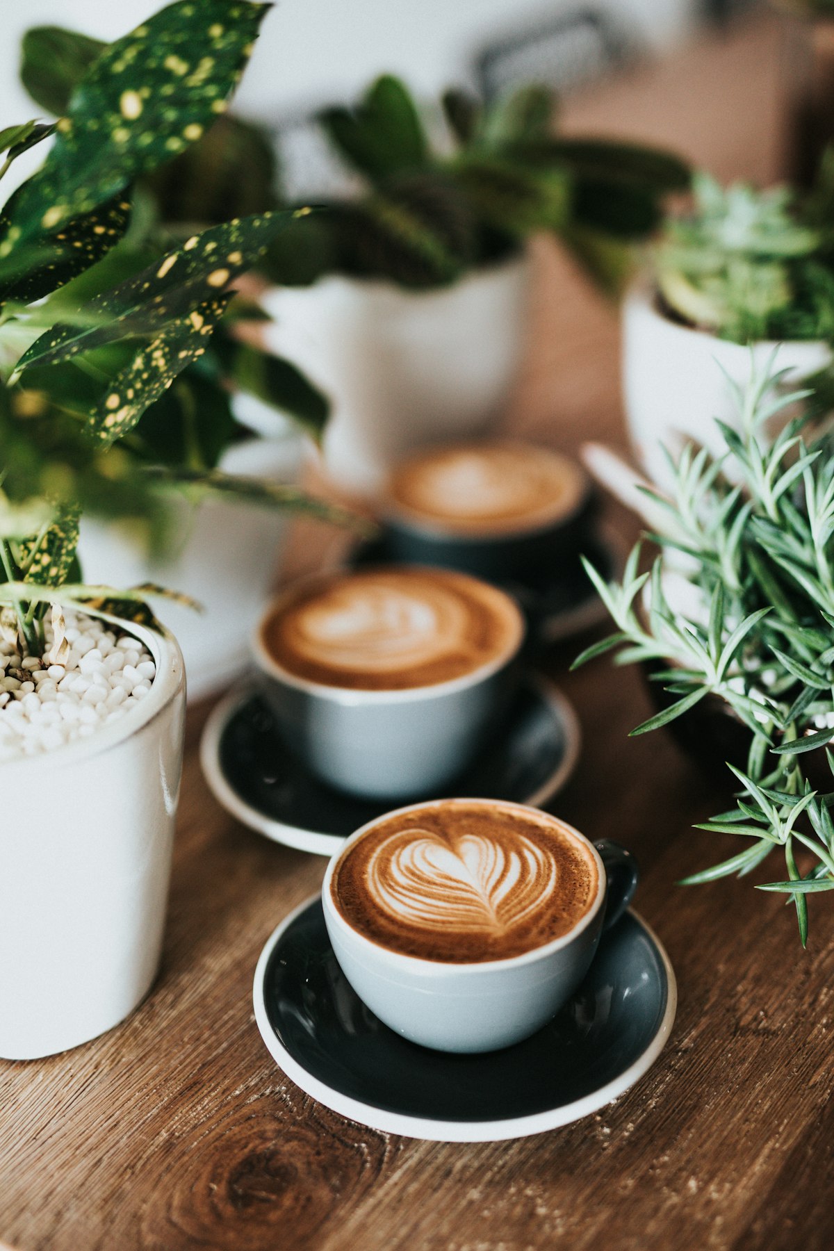 Coffee POS System: How to Choose the Best POS for Your Café in 2026