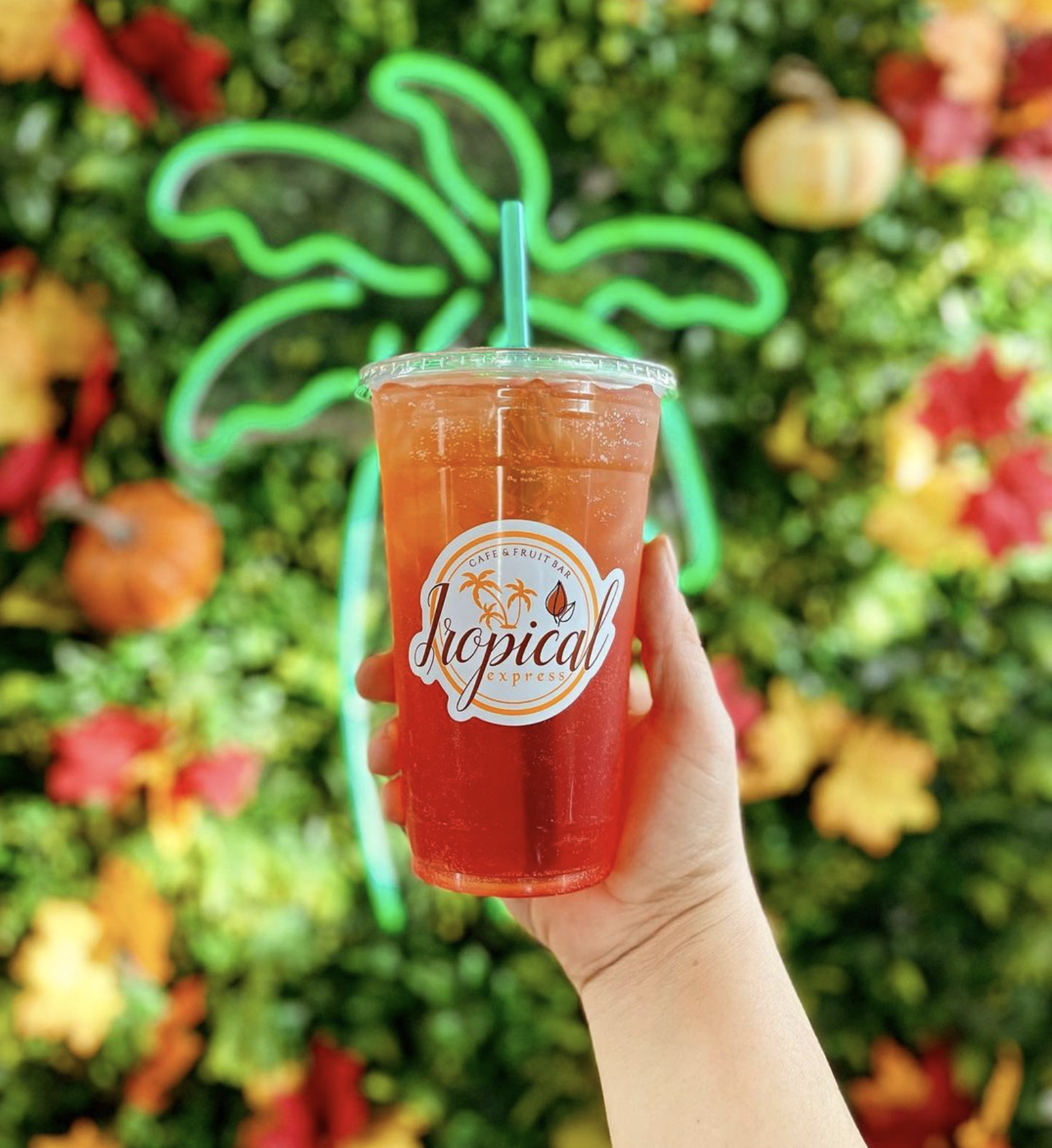 How joe OS Drives Growth and Elevates Experience at Tropical Express